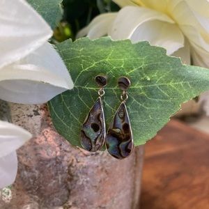 925 Silver Earrings